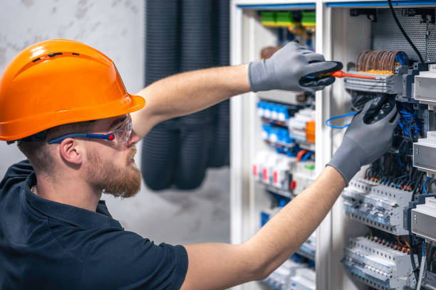 Best Electric Panel Repair  in Eustace, TX